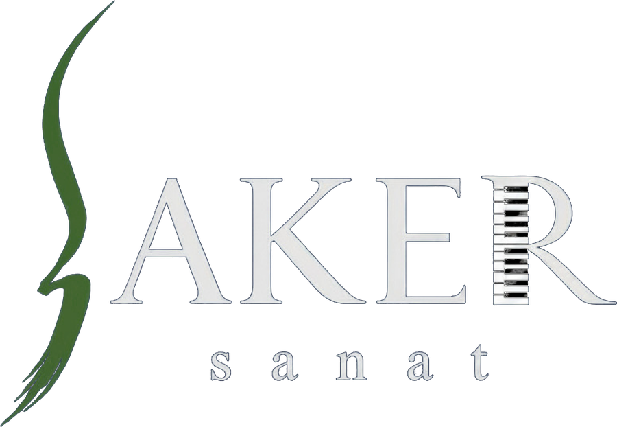 Aker Sanat
